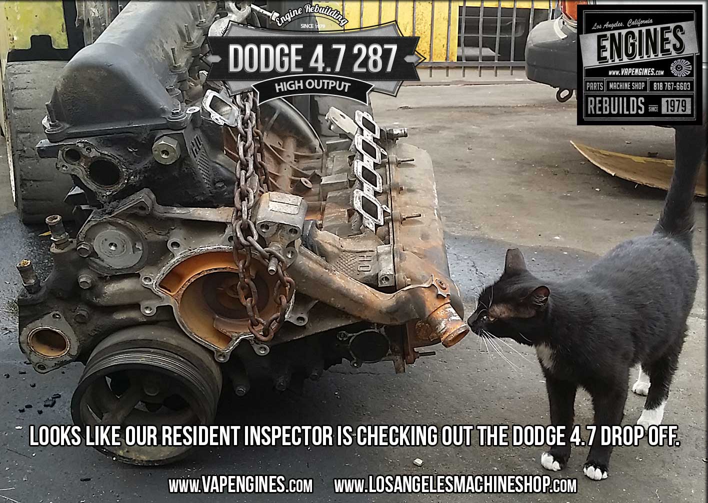Dodge 4.7 engine inspection